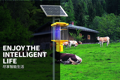 鋰電池太陽能殺蟲燈電擊式配50W太陽能板