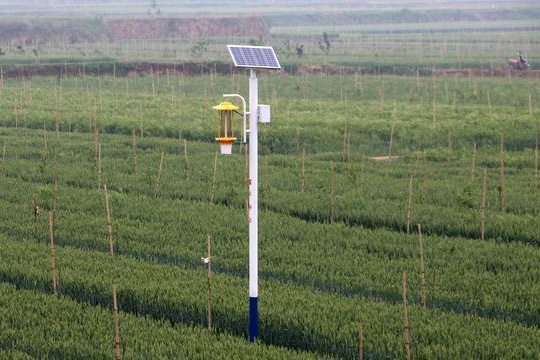 太陽能殺蟲燈多少錢一臺？