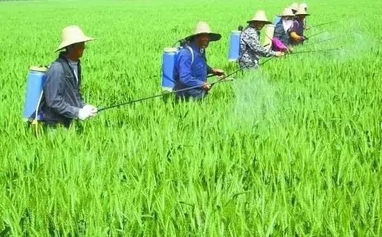 太陽能殺蟲燈哪家好？不能只圖價格便宜，否則得不償失