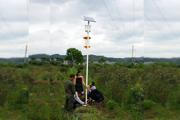 高桿太陽能殺蟲燈應(yīng)用于江西會(huì)昌縣林業(yè)圖片