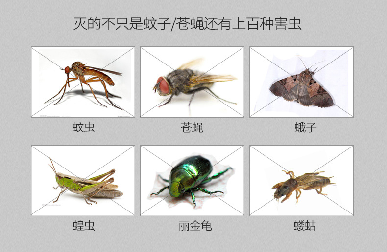 頻振式殺蟲燈可殺死哪些害蟲？對哪些蟲子有效？