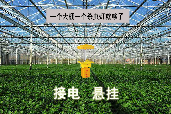 生態(tài)農(nóng)業(yè)用自動(dòng)殺蟲燈專業(yè)殺蟲