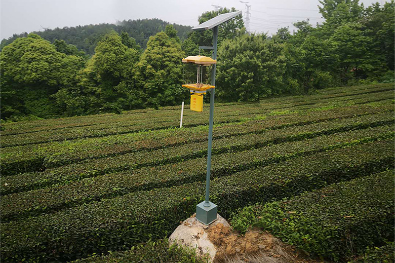為什么太陽能殺蟲燈用的少？四個方面原因