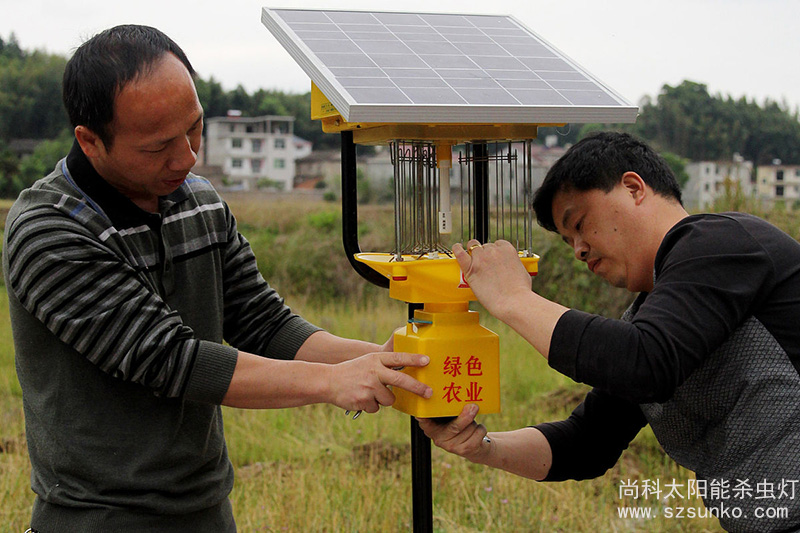 一體式太陽(yáng)能殺蟲燈安裝現(xiàn)場(chǎng)圖片