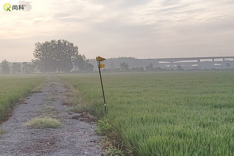 幾組田間殺蟲燈圖片，農(nóng)田殺蟲燈實(shí)拍