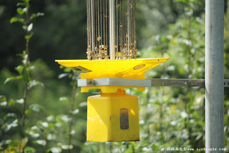 交流電殺蟲燈使用：懸掛方式