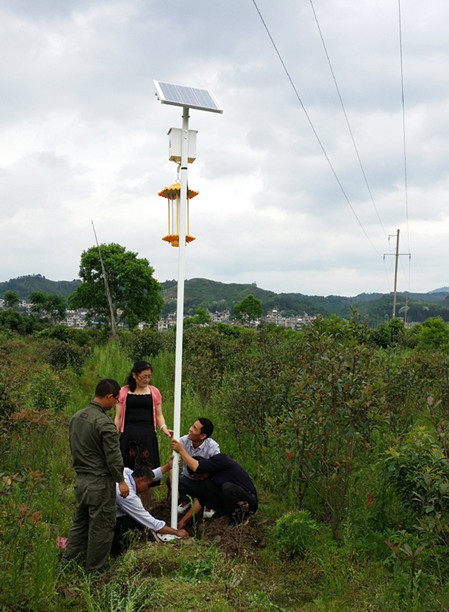 江西會(huì)昌高桿太陽(yáng)能殺蟲(chóng)燈應(yīng)用于林業(yè)