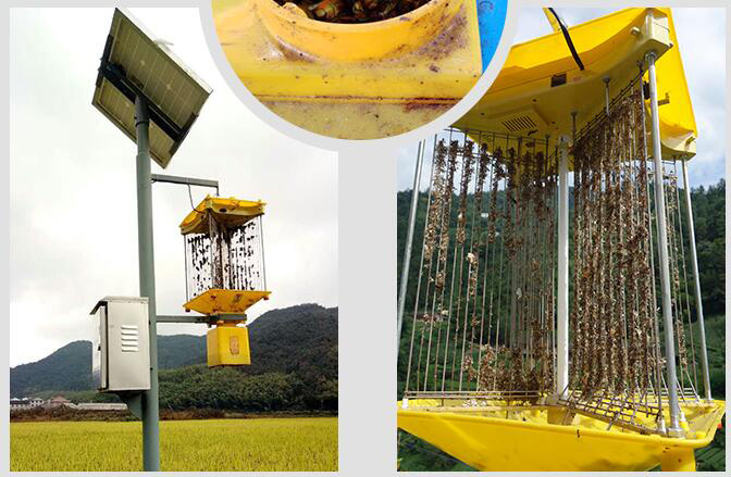 50w鋰電池太陽能殺蟲燈效果實拍圖片