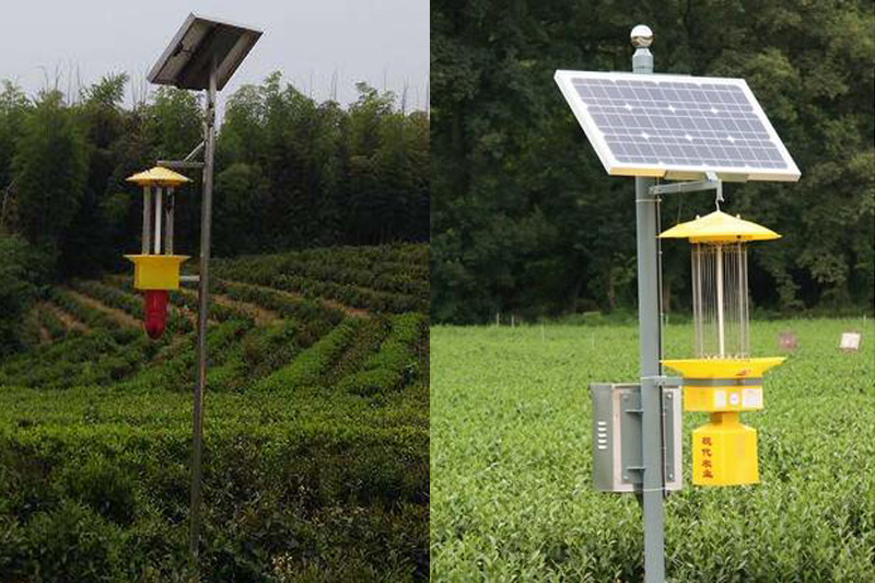 茶園太陽能殺蟲燈圖片案例