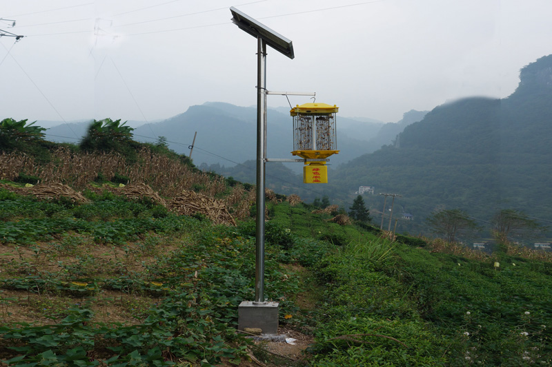 湖北恩施鶴峰太陽能殺蟲燈應用實拍圖片