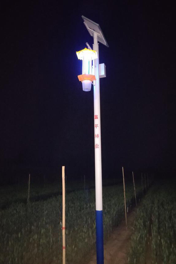 陜西柿園TFX50果園太陽能殺蟲燈夜間工作效果圖