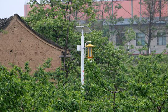 陜西柿園TFX50果園太陽能殺蟲燈效果圖