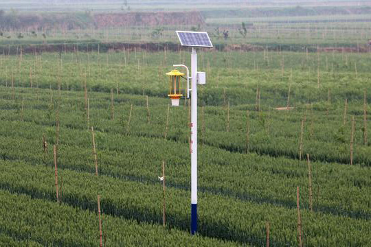 陜西柿園TFX50果園太陽能殺蟲燈效果圖