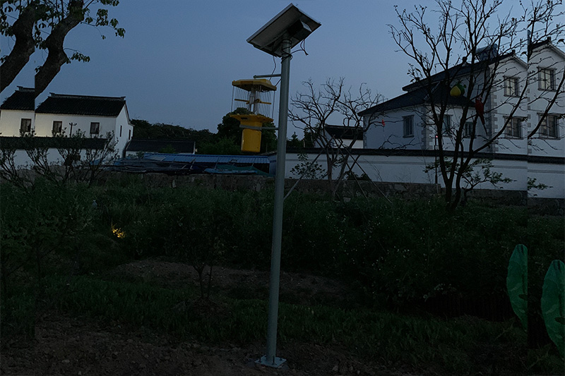 大型高桿太陽能殺蟲燈安裝現場圖片