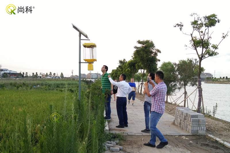 安徽稻田太陽能殺蟲燈效果案例