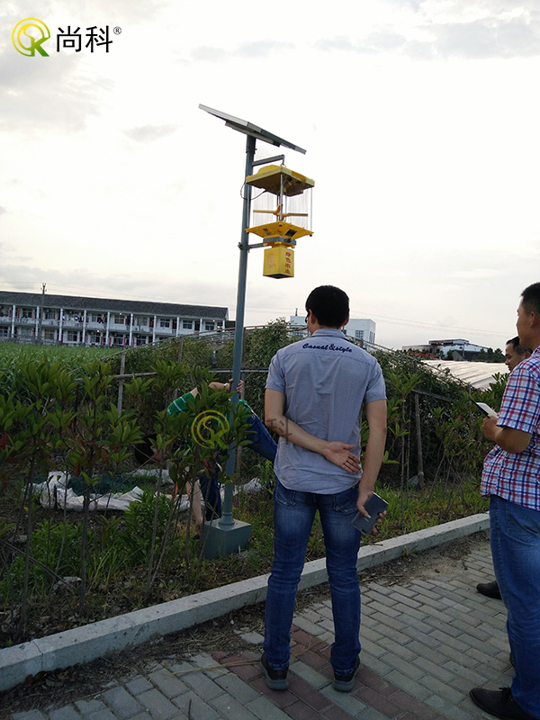 安徽稻田太陽能殺蟲燈效果案例