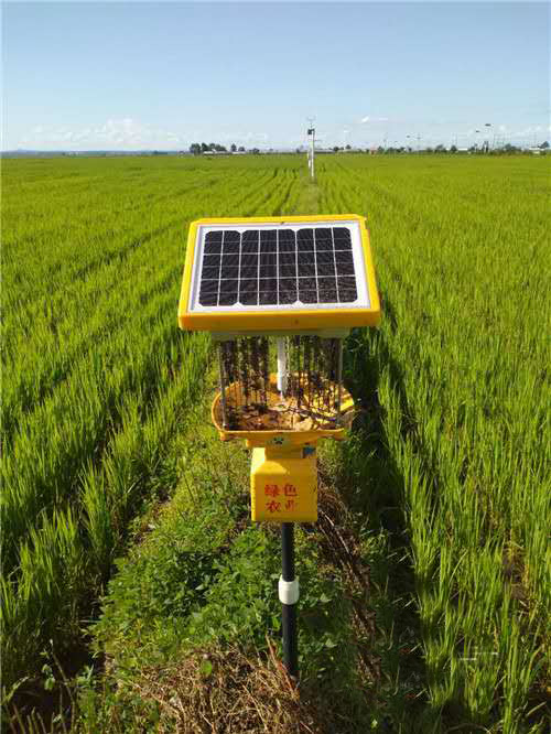 黑龍江延壽水稻種植基地使用太陽能殺蟲燈案例