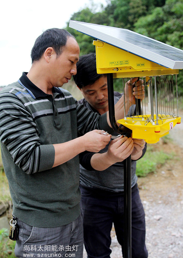 一體式太陽能殺蟲燈安裝現場圖片