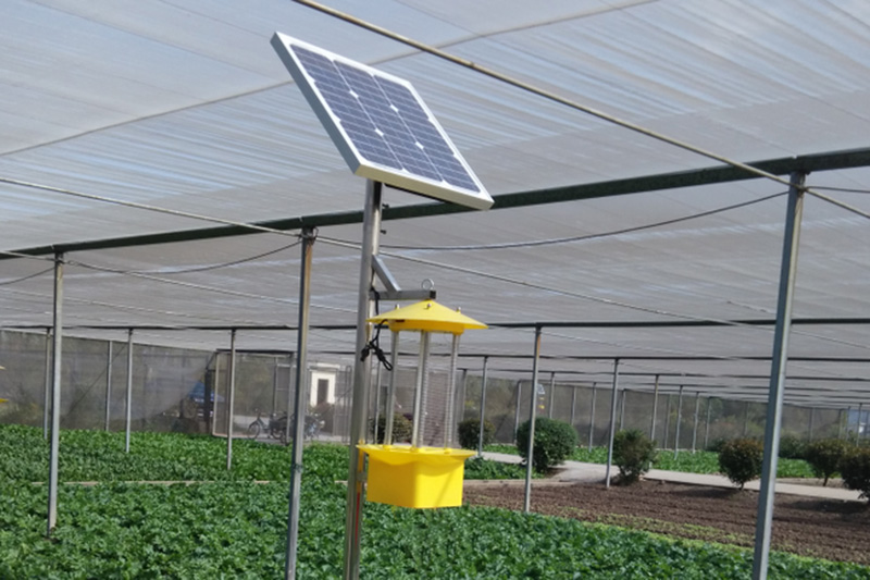 大棚室內太陽能殺蟲燈間隔距離