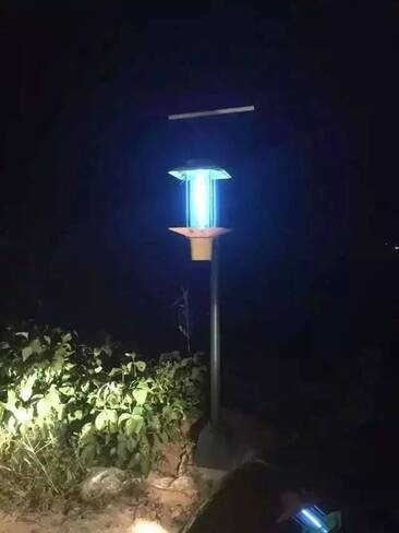 農業扶貧開發太陽能殺蟲燈