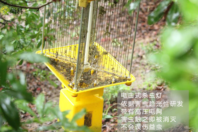 果園殺蟲燈哪種好？電擊式果園殺蟲燈效果好