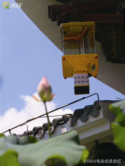 浙江公園殺蟲燈安裝后效果