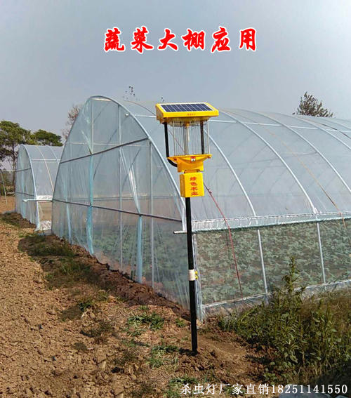 山東太陽能農(nóng)田殺蟲燈實拍，田間殺蟲燈圖片