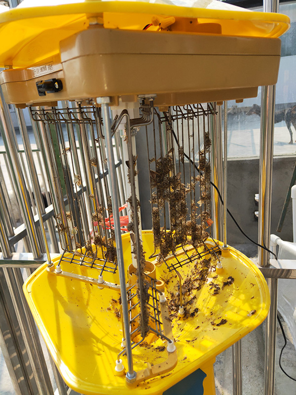 豬場滅蚊燈，220V殺蟲燈