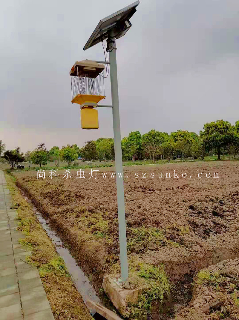 2021年殺蟲燈過冬維護保養(yǎng)