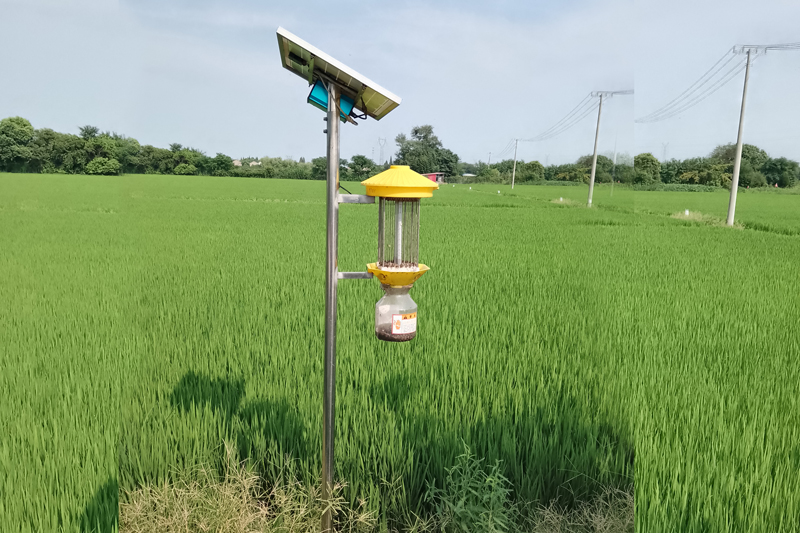 不要在誤解頻振式殺蟲燈了！