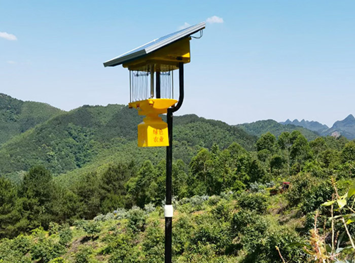 安裝殺蟲燈誘蟲燈需要注意的幾點，從燈具選購到使用細節全介紹