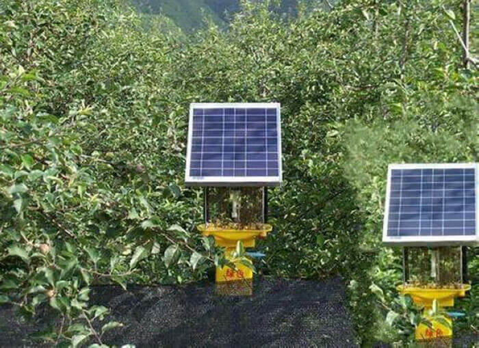 茶園殺蟲燈原理？探究茶園殺蟲燈的機理