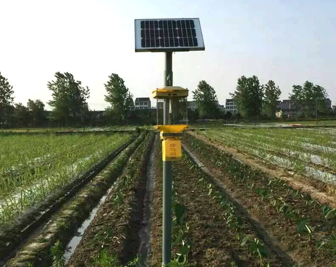 風(fēng)吸式殺蟲燈作用機理是什么