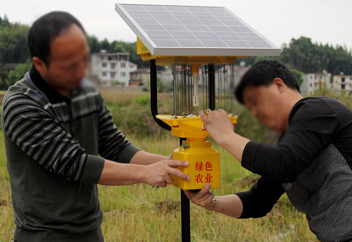 智能殺蟲燈太陽不能用？可能是這些原因！