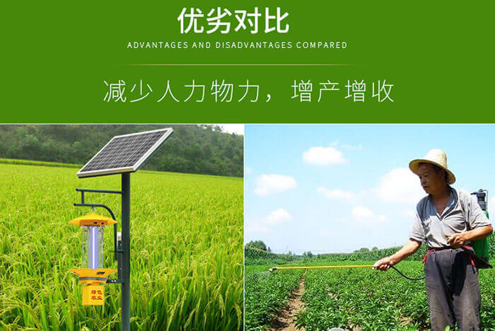 使用太陽能殺蟲燈對赤眼蜂的作用