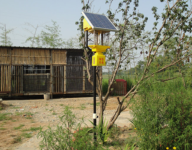 電擊太陽能殺蟲燈的神奇力量-尚科