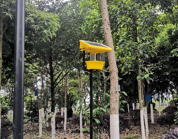 柑桔太陽能殺蟲燈能有效殺死多大面積