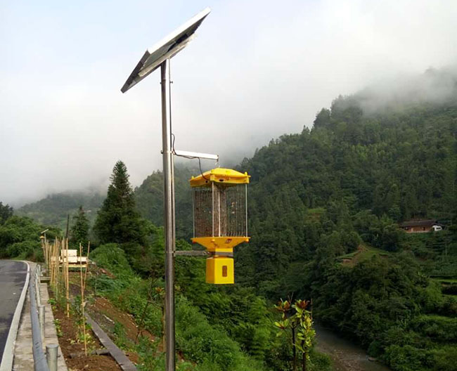 高桿戶外太陽能農(nóng)用殺蟲燈，原理和效果解讀