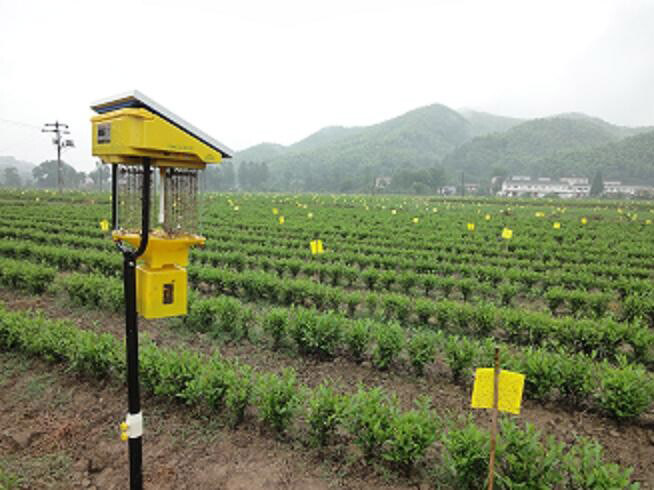 太陽能殺蟲燈應(yīng)用范圍是什么