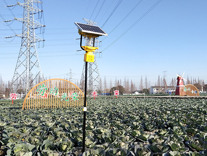 振頻式殺蟲燈效果如何使用