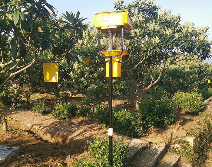 柑橘太陽能誘捕殺蟲燈為什么能夠有效防治病蟲害