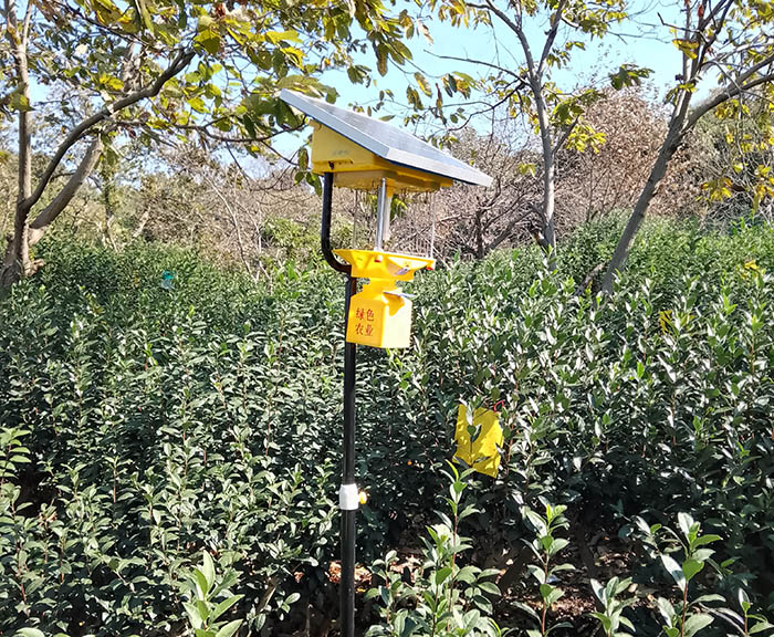 果園風(fēng)吸式太陽(yáng)能殺蟲燈詳解