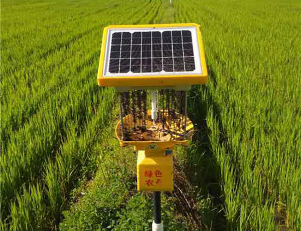 風(fēng)吸式殺蟲燈頻振式殺蟲燈哪個(gè)效果好