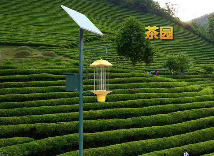 風(fēng)吸式太陽能殺蟲燈安裝方案