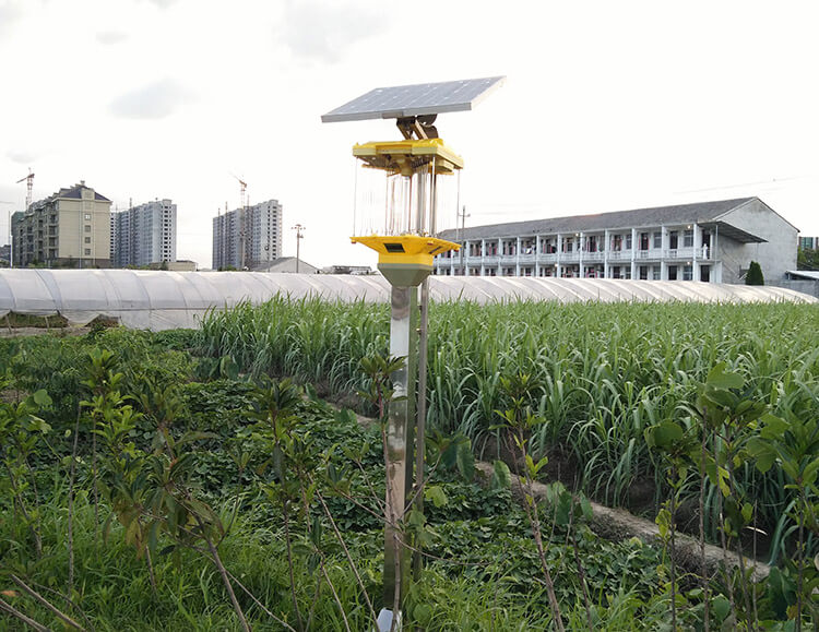 大風(fēng)天殺蟲燈有效嗎,有沒有毒