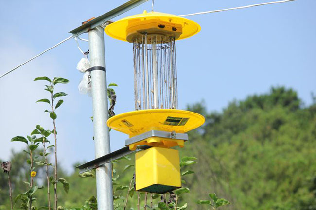 風吸式殺蟲燈技術參數有哪些