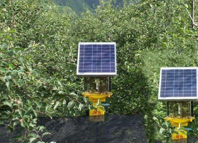 太陽能殺蟲燈正確安裝方法&使用殺蟲燈的注意事項(xiàng)