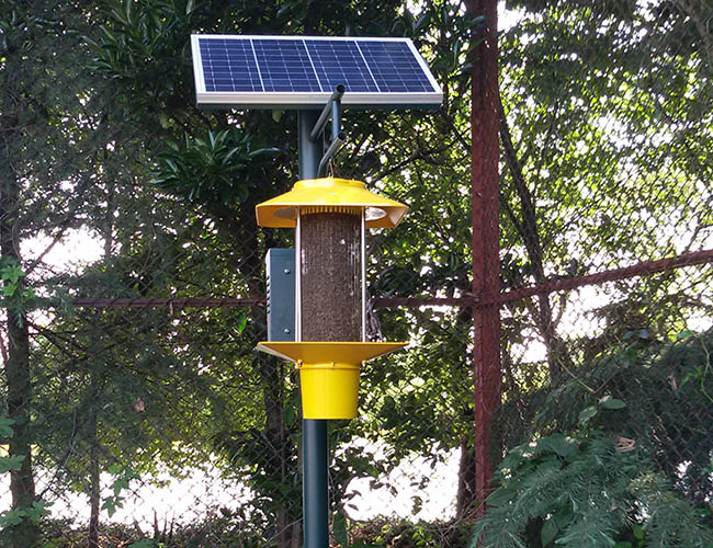 太陽能自動殺蟲燈效果好嗎？前提是你用對了