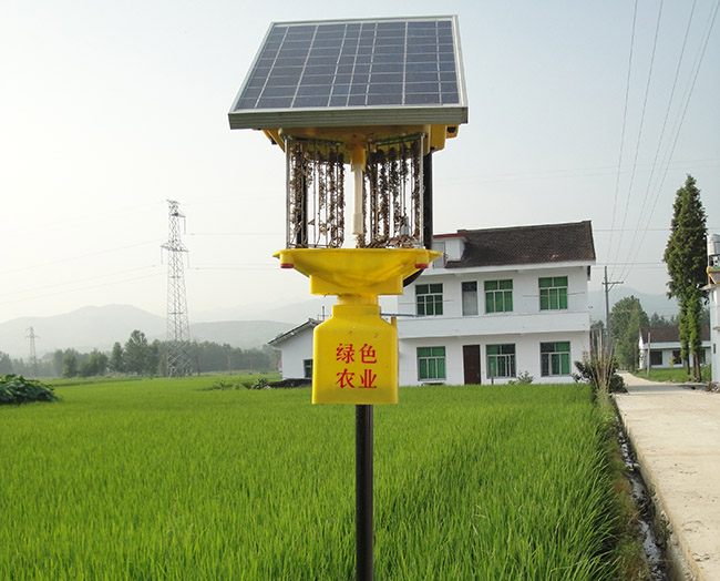 自動清蟲太陽能殺蟲燈，原理和優點解讀